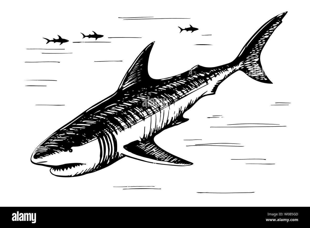 Schizzo di squalo disegno a mano libera Illustrazione Vettoriale