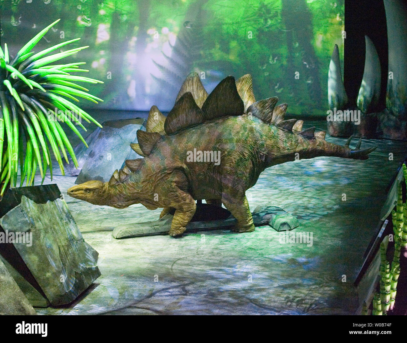 Un armor Stegosaurus placcato dal giurassico foraggi durante i novanta minuti di Walking with Dinosaurs - l'esperienza live show a GM Place di Vancouver, British Columbia, 31 gennaio 2008. Burattinai e animatronici ricreare quindici vita come creature rappresentano dieci specie che copre l'intero 200 milioni di anni di regno dei dinosauri in mostra che è in tournée in America del Nord basati sulla pluripremiata serie televisiva BBC. (UPI foto/Heinz Ruckemann) Foto Stock