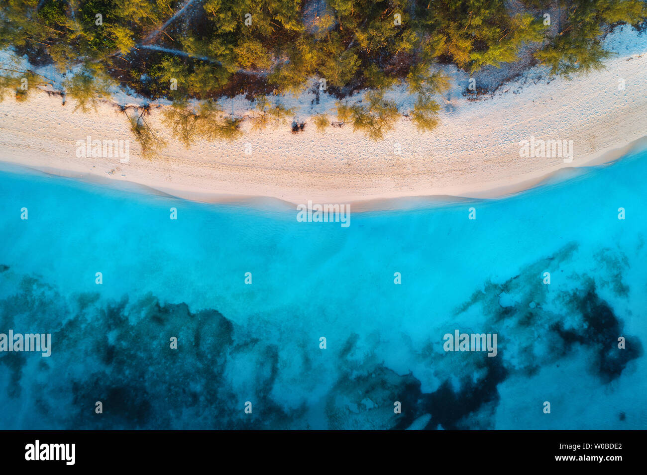 Vista aerea di alberi verdi sulla spiaggia sabbiosa e mare blu Foto Stock