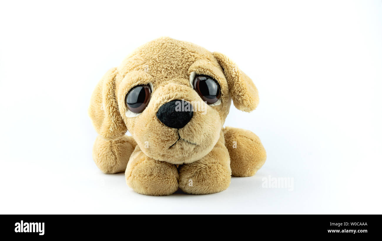 Il giocattolo di peluche - triste cucciolo isolato su sfondo bianco. Foto Stock