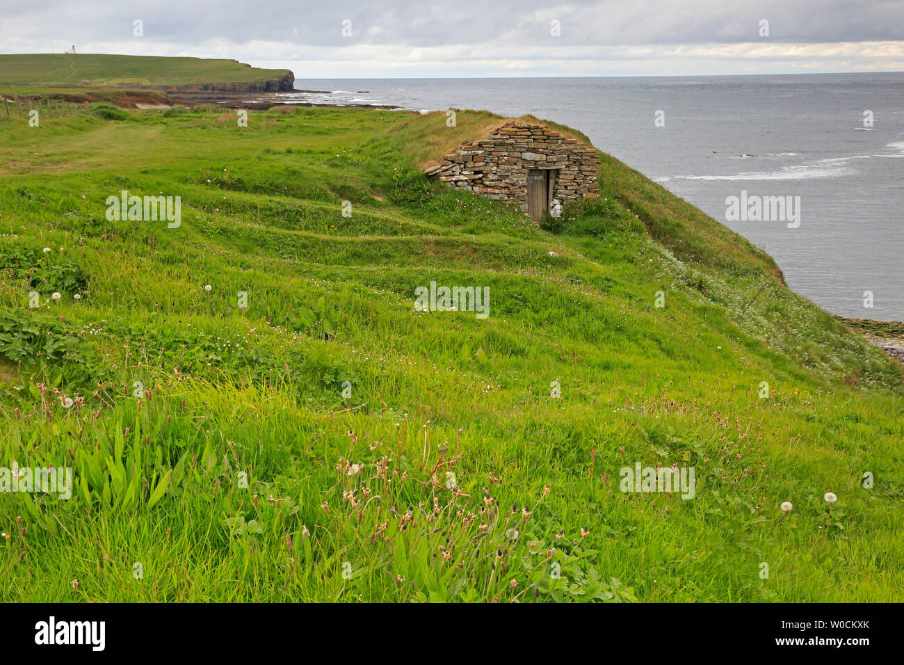 Skipi Geo barca Nousts Orkney continentale Foto Stock