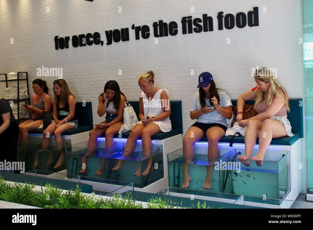 Le donne di trattamento del pesce a piedi a doctor fish spa Atene GRECIA Foto Stock