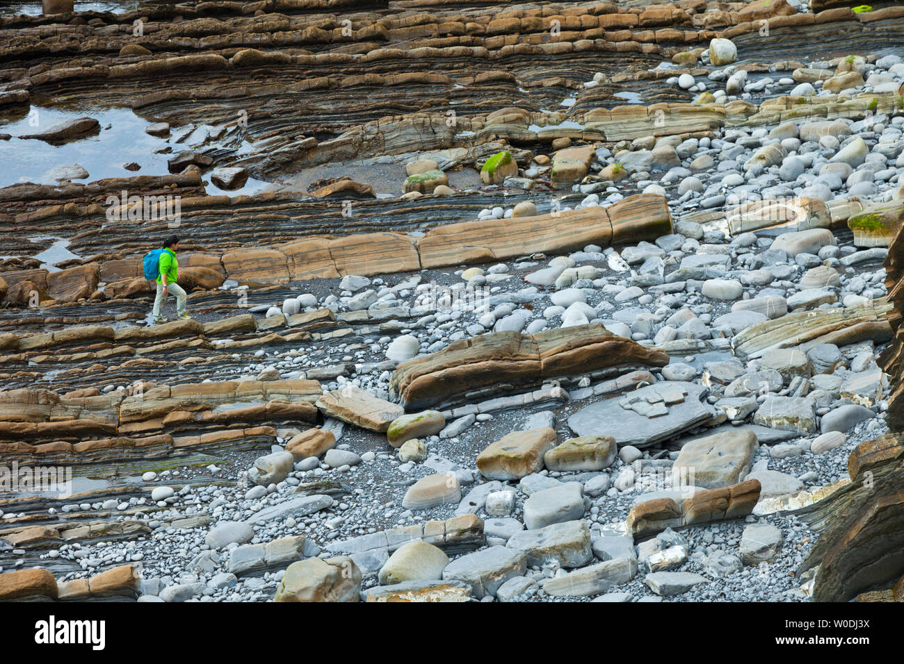 Flysch, Sakoneta beach, Deva, Gipuzkoa, il Paese Basco, la baia di Byscay, Spagna, Europa Foto Stock