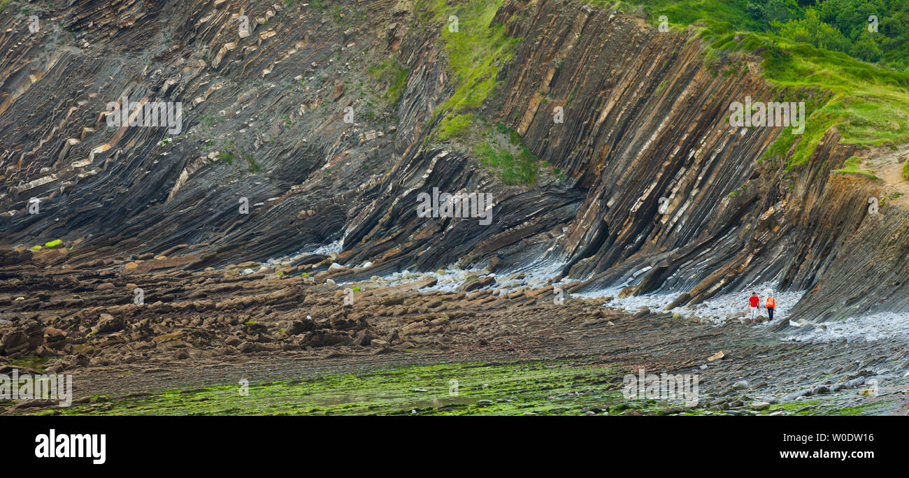 Flysch, Sakoneta beach, Deva, Gipuzkoa, il Paese Basco, la baia di Byscay, Spagna, Europa Foto Stock