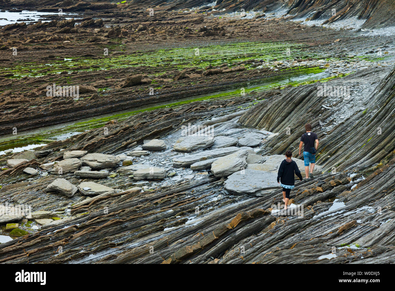 Flysch, Sakoneta beach, Deva, Gipuzkoa, il Paese Basco, la baia di Byscay, Spagna, Europa Foto Stock