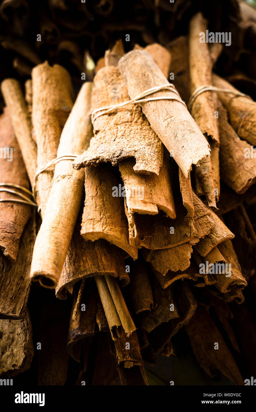 Martinica, Saint-Pierre, close-up su un locale di spezie e cannella Foto Stock