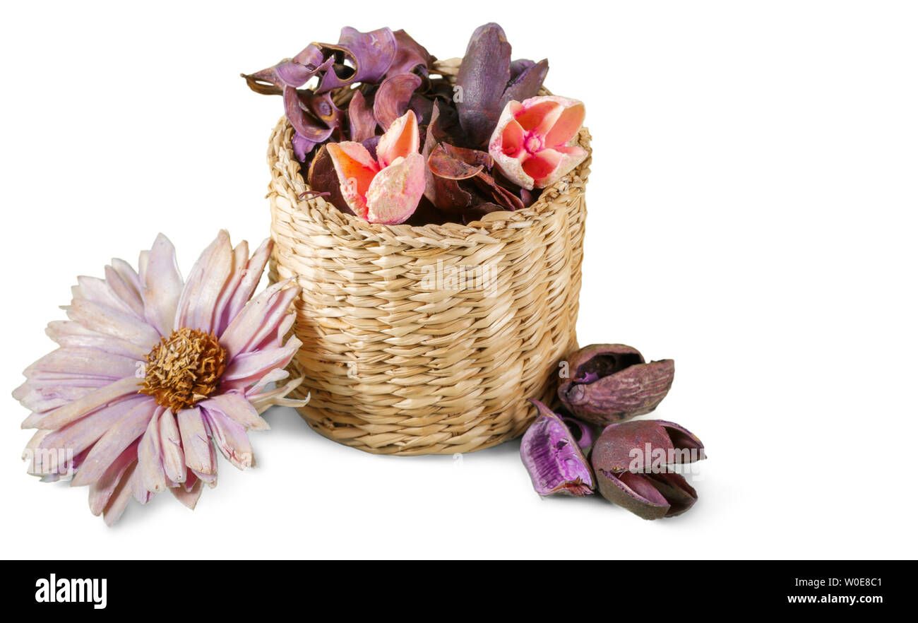 Set di autunno a secco piante e foglie essiccate petali e fiori, semplici rami rustico e frumento mazzetto su bianco Foto Stock