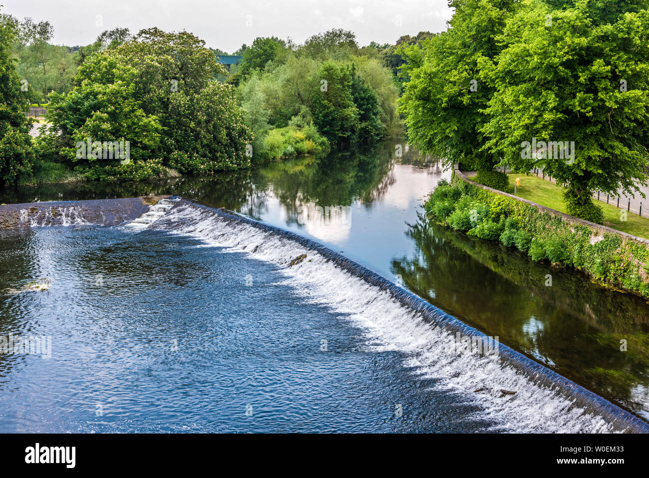 Repubblica di Irlanda, nella contea di Tipperary, il fiume Suir Foto Stock