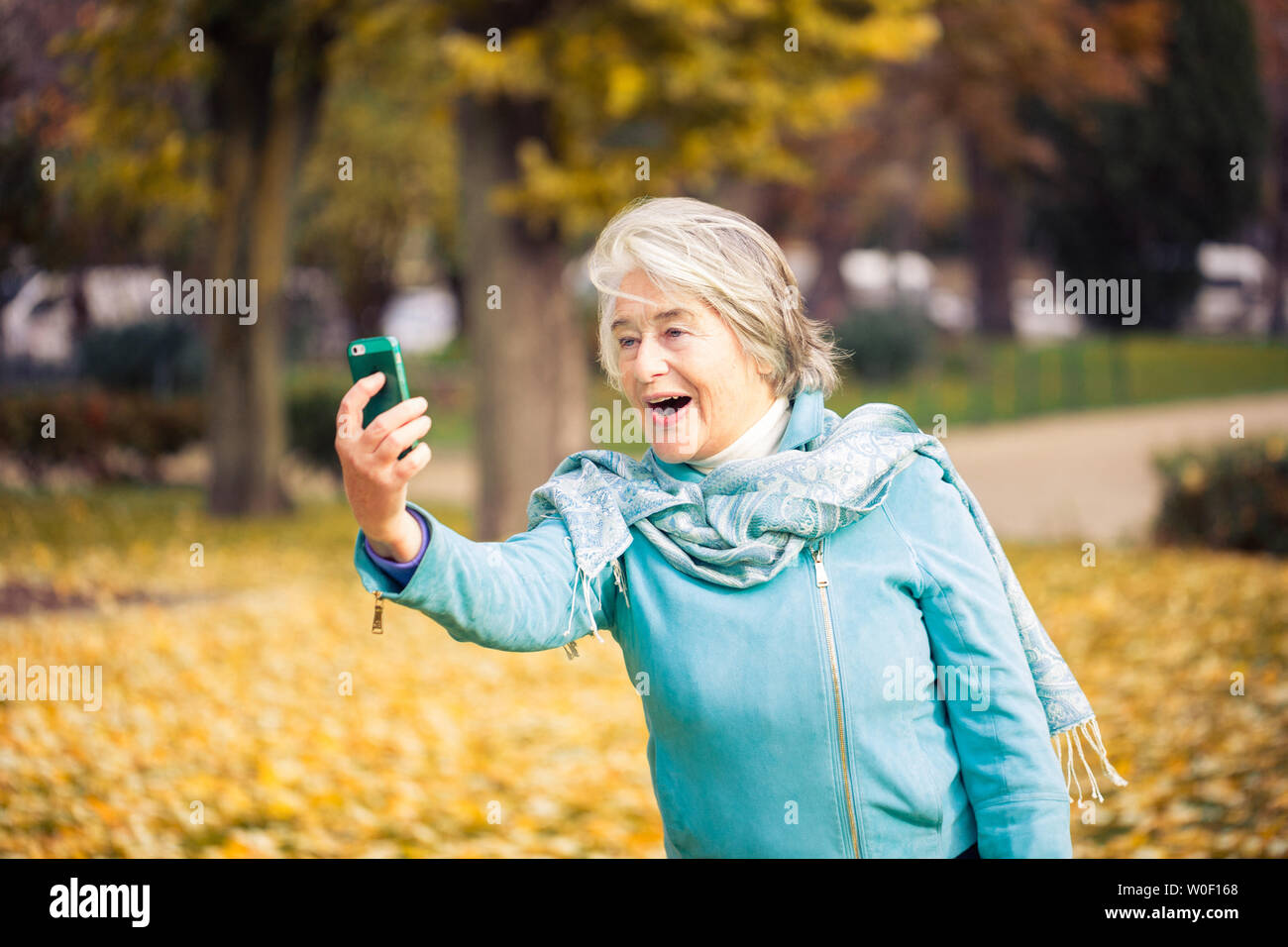 Vista di un smilling ed espressive piuttosto alti donna guardando al suo telefono su foglie di giallo nella parte anteriore di un alberi con colori autunnali. Foto Stock
