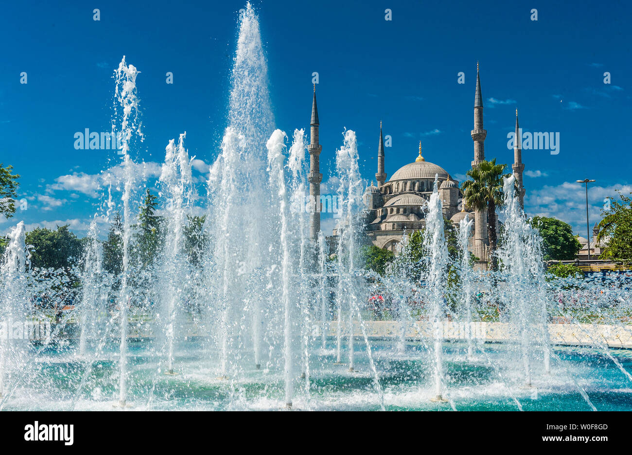 La Moschea Blu (completato nel 1616 da Mehmet Aga, Sinan l'allievo), Istanbul centro storico, Turchia Foto Stock
