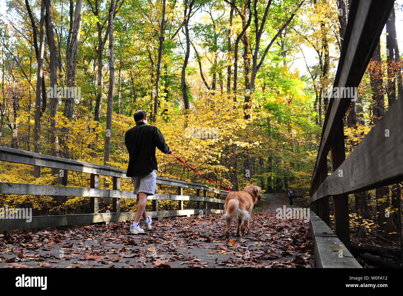 Un uomo cammina il suo cane su un ponte pedonale in Rock Creek Park a Washington D.C. il 25 ottobre 2009. UPI/Kevin Dietsch Foto Stock