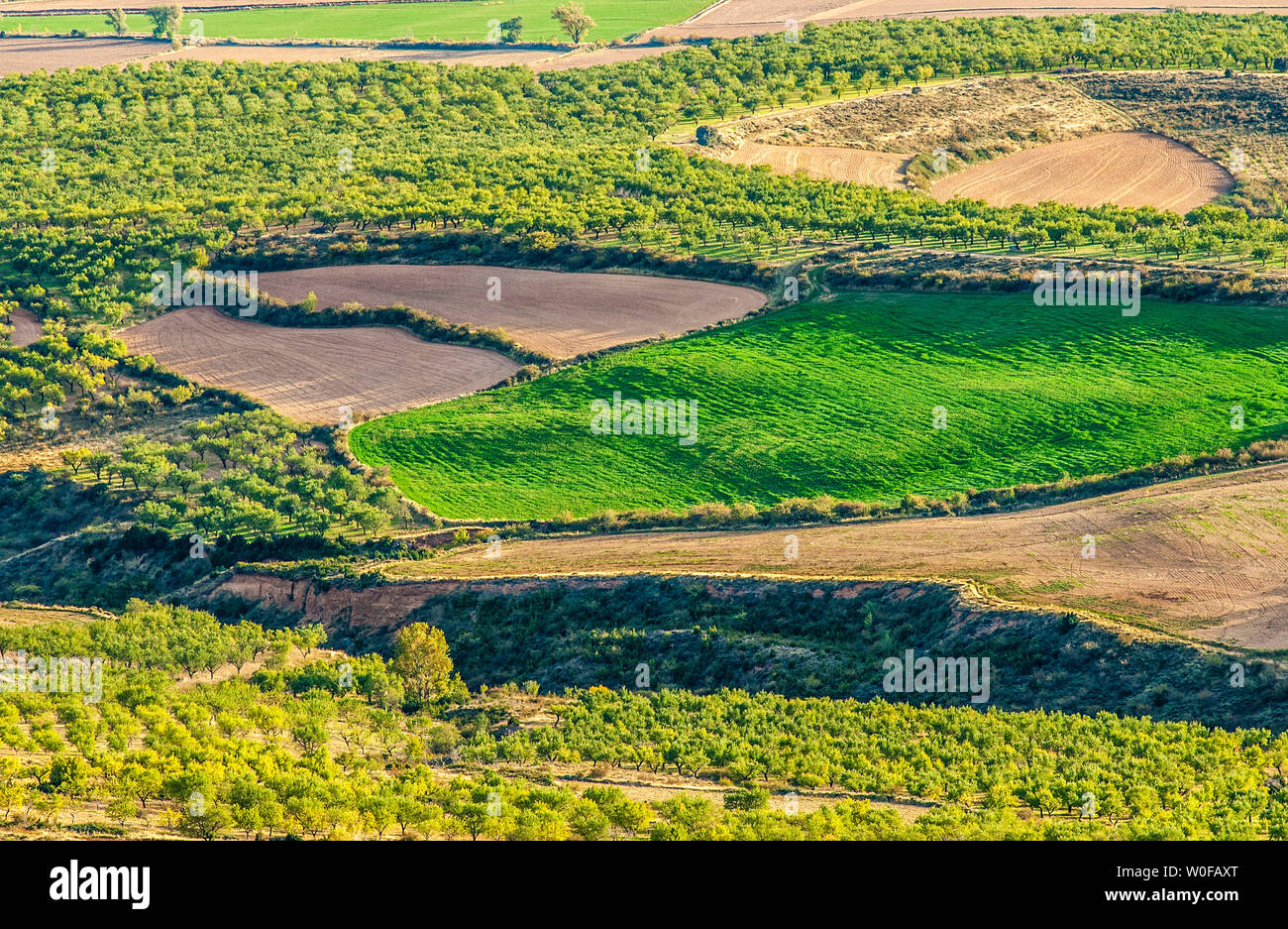 La Spagna, la Comunità autonoma di Aragona, provincia di Huesca, pianura agricola di Loarre Foto Stock