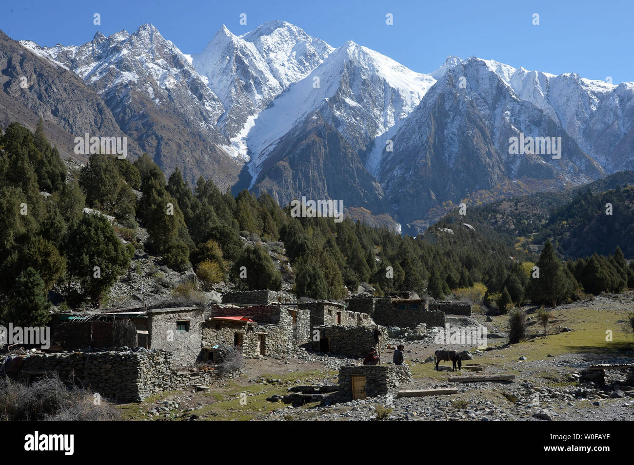 Il Pakistan, Gilgit Baltistan area, Nagar valley, Minapin, le alte montagne innevate della gamma Rakaposhi dominano la piccola frazione di Tagaphari Foto Stock