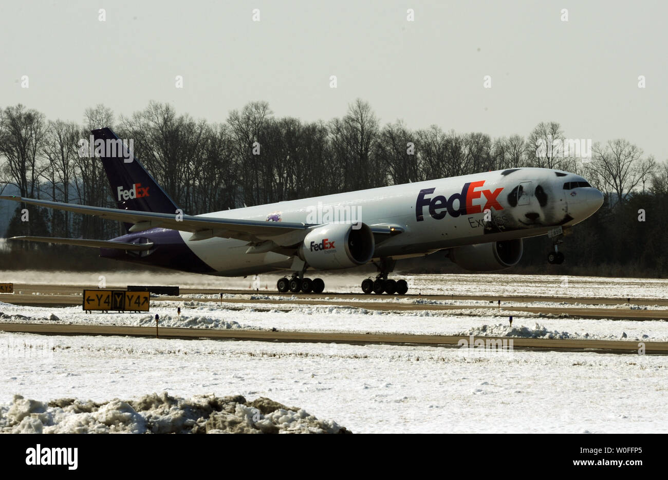 Un FedEx Express 777 cargo aereo, portando il Tai Shan, un bambino di 4 anni maschio panda gigante, decolla dall'aeroporto di Dulles a Dulles, Virginia il 4 febbraio 2010. Tai Shan e un altro di 3 anni panda femmina, Mei Lan, dallo Zoo di Atlanta, sarà trasportato sulla "FedEx Panda Express' a Chengdu, in Cina per entrare a far parte del paese allevamento e programma di conservazione. Entrambi i panda sono di proprietà del governo cinese e sono state affittate a gli Stati Uniti. UPI/Alexis C. Glenn. Foto Stock