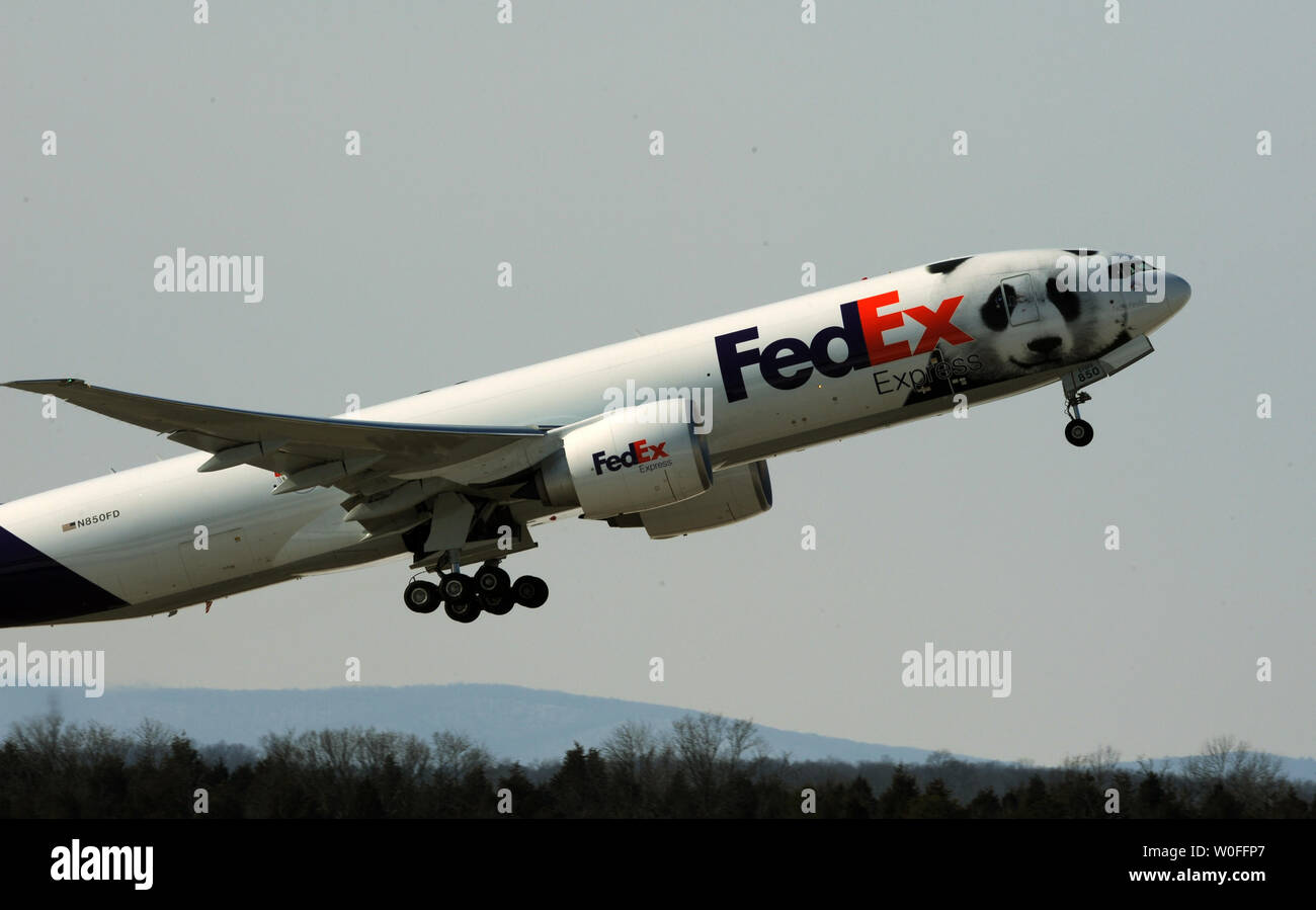 Un FedEx Express 777 cargo aereo, portando il Tai Shan, un bambino di 4 anni maschio panda gigante, decolla dall'aeroporto di Dulles a Dulles, Virginia il 4 febbraio 2010. Tai Shan e un altro di 3 anni panda femmina, Mei Lan, dallo Zoo di Atlanta, sarà trasportato sulla "FedEx Panda Express' a Chengdu, in Cina per entrare a far parte del paese allevamento e programma di conservazione. Entrambi i panda sono di proprietà del governo cinese e sono state affittate a gli Stati Uniti. UPI/Alexis C. Glenn. Foto Stock