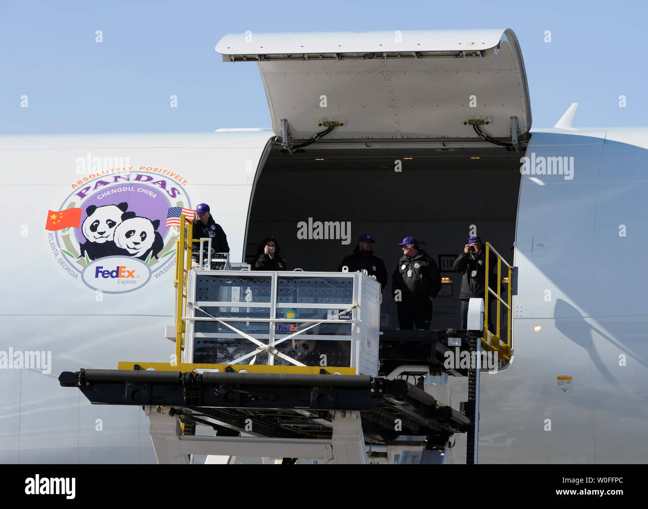 Tai Shan, un bambino di 4 anni maschio panda gigante, è sollevato in una FedEx Express 777 cargo aereo all'Aeroporto di Dulles a Dulles, Virginia il 4 febbraio 2010. Tai Shan e un altro di 3 anni panda femmina, Mei Lan, dallo Zoo di Atlanta, sarà trasportato sulla "FedEx Panda Express' a Chengdu, in Cina per entrare a far parte del paese allevamento e programma di conservazione. Entrambi i panda sono di proprietà del governo cinese e sono state affittate a gli Stati Uniti. UPI/Alexis C. Glenn. Foto Stock