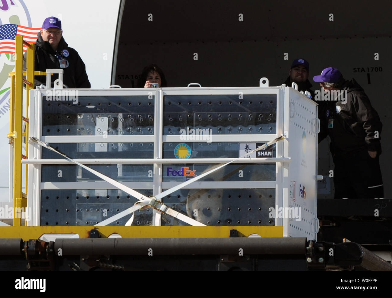 Tai Shan, un bambino di 4 anni maschio panda gigante, è sollevato in una FedEx Express 777 cargo aereo all'Aeroporto di Dulles a Dulles, Virginia il 4 febbraio 2010. Tai Shan e un altro di 3 anni panda femmina, Mei Lan, dallo Zoo di Atlanta, sarà trasportato sulla "FedEx Panda Express' a Chengdu, in Cina per entrare a far parte del paese allevamento e programma di conservazione. Entrambi i panda sono di proprietà del governo cinese e sono state affittate a gli Stati Uniti. UPI/Alexis C. Glenn. Foto Stock