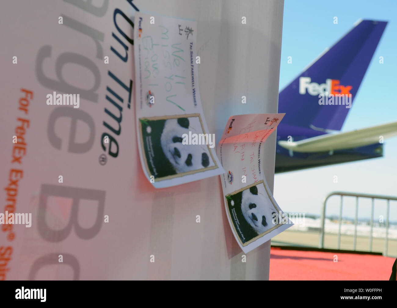 Una confezione FedEx riempito con le note da bambini a Tai Shan, un bambino di 4 anni maschio panda gigante, è visto vicino a FedEx Express 777 cargo aereo all'Aeroporto di Dulles a Dulles, Virginia il 4 febbraio 2010. Tai Shan e un altro di 3 anni panda femmina, Mei Lan, dallo Zoo di Atlanta, sarà trasportato sulla "FedEx Panda Express' a Chengdu, in Cina per entrare a far parte del paese allevamento e programma di conservazione. Entrambi i panda sono di proprietà del governo cinese e sono state affittate a gli Stati Uniti. UPI/Alexis C. Glenn. Foto Stock
