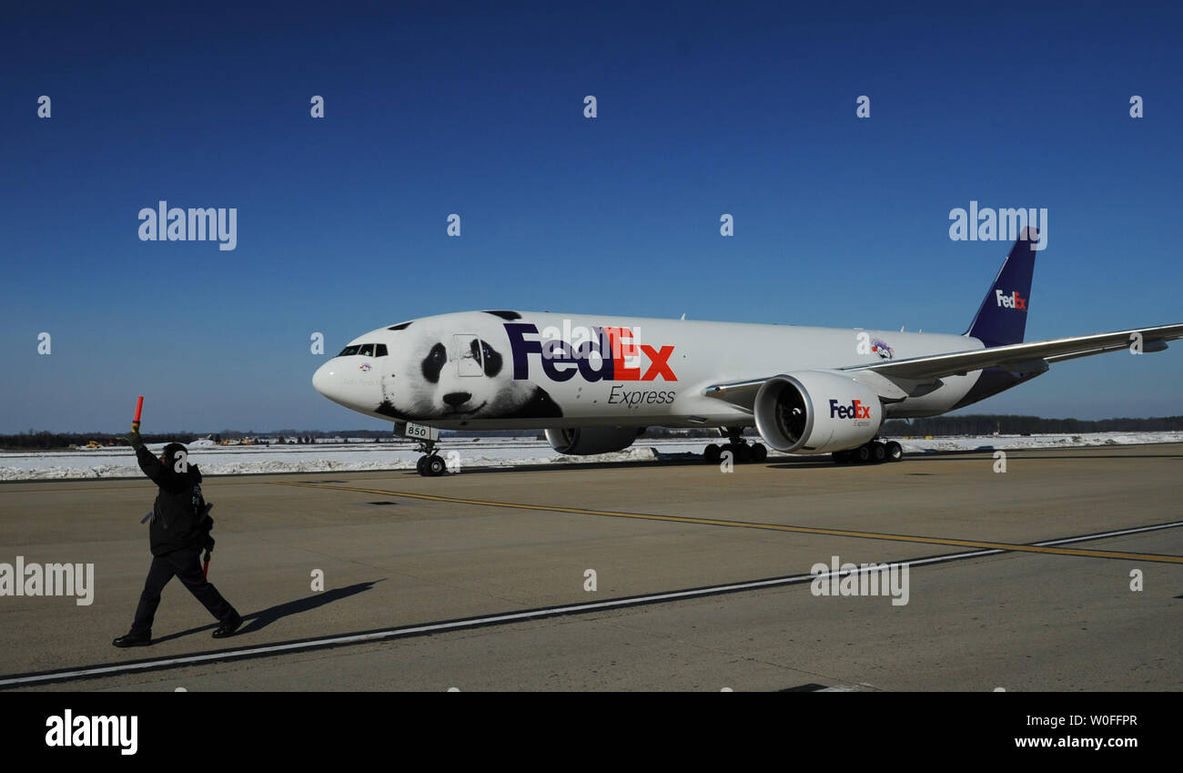 Un FedEx Express 777 cargo aereo arriva al trasporto di Tai Shan, un bambino di 4 anni maschio panda gigante, all'Aeroporto di Dulles a Dulles, Virginia il 4 febbraio 2010. Tai Shan e un altro di 3 anni panda femmina, Mei Lan, dallo Zoo di Atlanta, sarà trasportato sulla "FedEx Panda Express' a Chengdu, in Cina per entrare a far parte del paese allevamento e programma di conservazione. Entrambi i panda sono di proprietà del governo cinese e sono state affittate a gli Stati Uniti. UPI/Alexis C. Glenn. Foto Stock