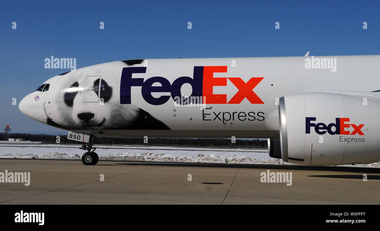 Un FedEx Express 777 cargo aereo arriva al trasporto di Tai Shan, un bambino di 4 anni maschio panda gigante, all'Aeroporto di Dulles a Dulles, Virginia il 4 febbraio 2010. Tai Shan e un altro di 3 anni panda femmina, Mei Lan, dallo Zoo di Atlanta, sarà trasportato sulla "FedEx Panda Express' a Chengdu, in Cina per entrare a far parte del paese allevamento e programma di conservazione. Entrambi i panda sono di proprietà del governo cinese e sono state affittate a gli Stati Uniti. UPI/Alexis C. Glenn. Foto Stock