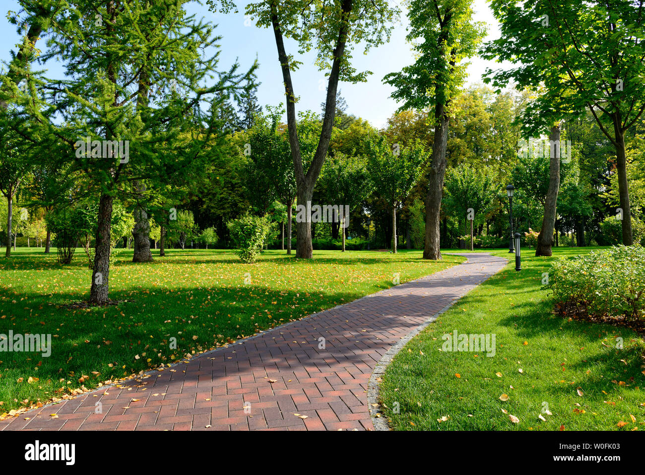 I primi di settembre nel parco pubblico con il sentiero e lascia sull'erba verde Foto Stock