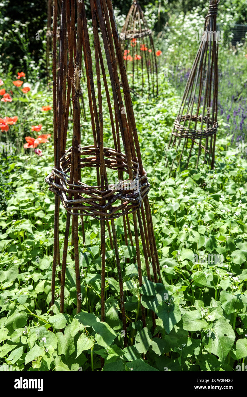 Supporto di vimini per le piante nel riparto garden Foto Stock