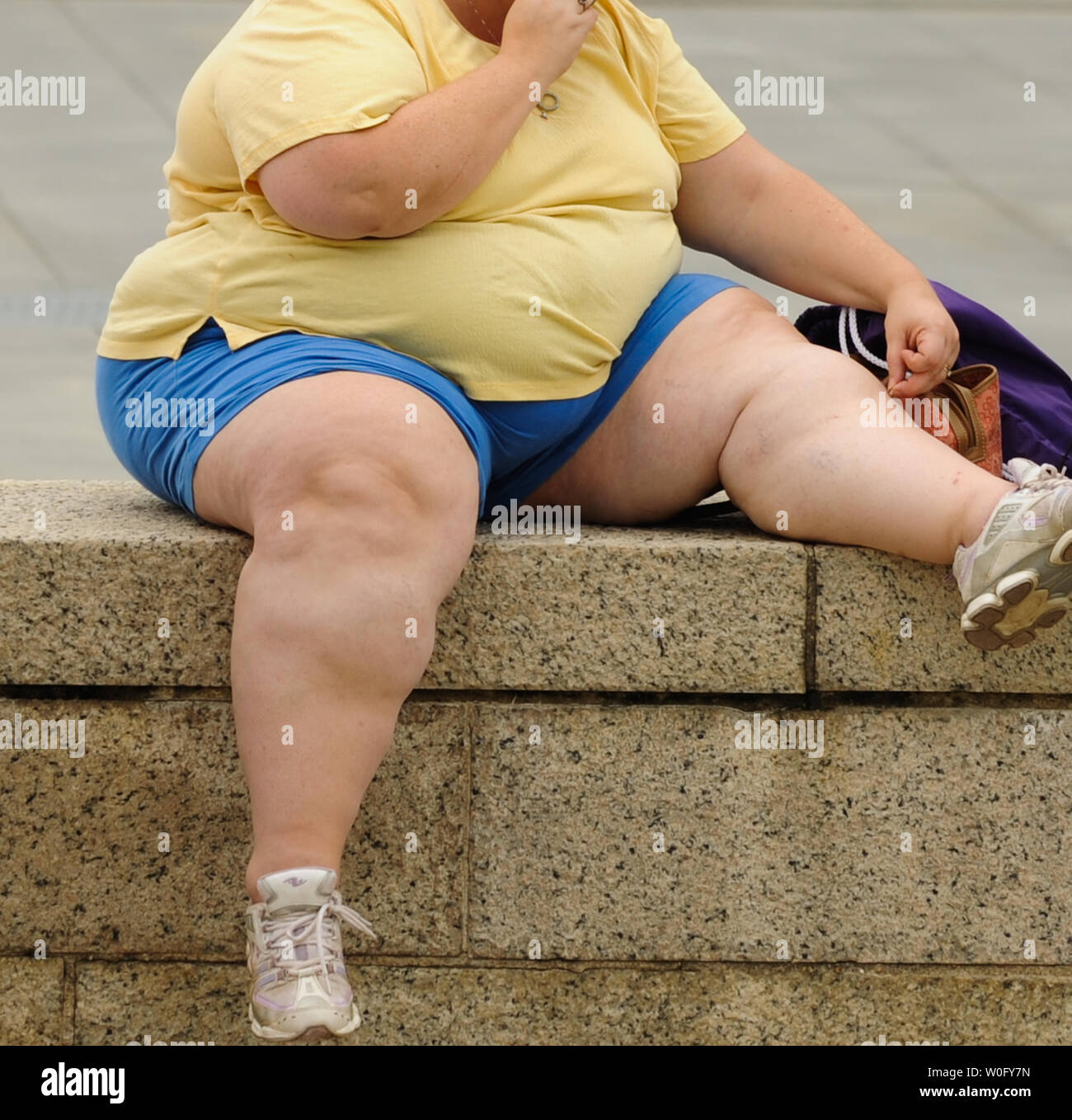 Una donna si siede presso il National Mall di Washington DC il 13 agosto 2010. Obesità negli Stati Uniti è aumentato di 2,4 milioni di americani obesi dal 2007, secondo un rapporto pubblicato questa settimana dai centri per il controllo e la prevenzione delle malattie (CDC). UPI/Alexis C. Glenn Foto Stock