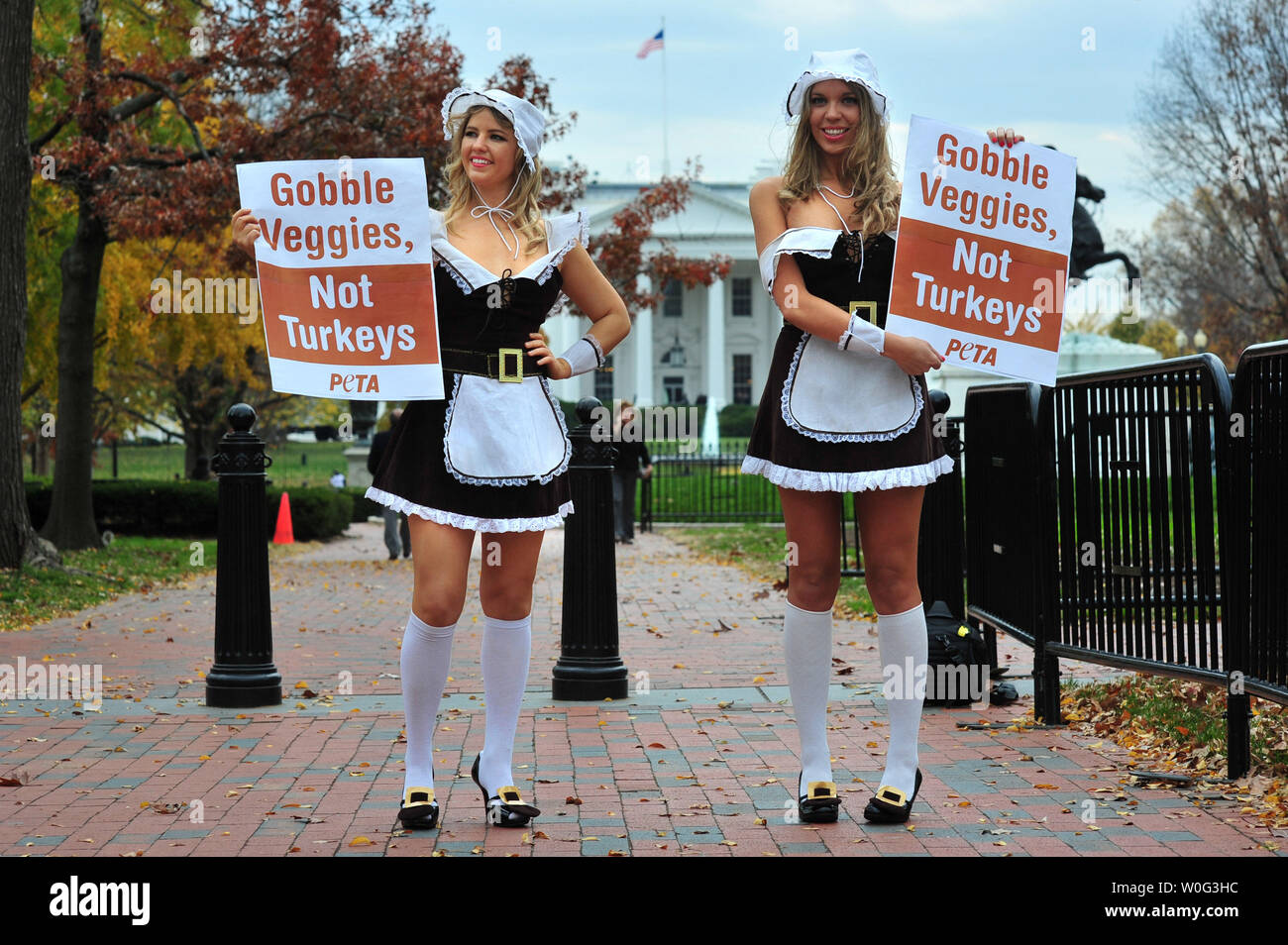 PETA attivisti Laura Chamberlin (L) e Monika Meilleur promuovere il consumo di Tofurky, un sostituto di tofu in Turchia, per il ringraziamento di fronte alla Casa Bianca a Washington il 23 novembre 2010. UPI/Kevin Dietsch Foto Stock