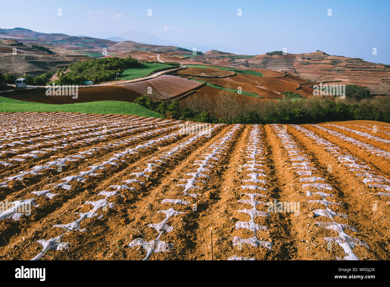 Terra rossa di Dongchuan, nella provincia dello Yunnan Foto Stock