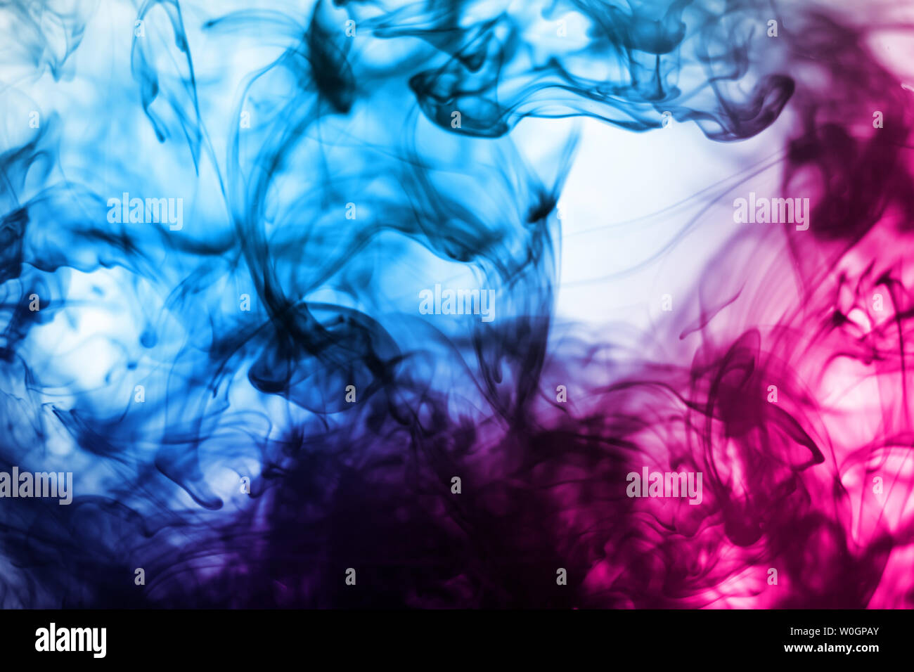 Blu e rosa colore inchiostro fluiva in acqua. Abstract blu e rosa di inchiostro a colori di sfondo del modello. Foto Stock