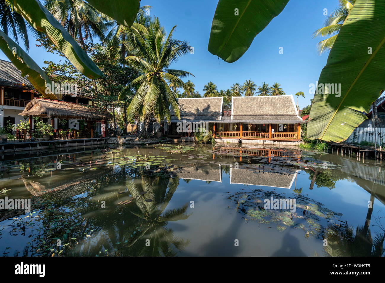 Hotel Resort , Villa Oasis, laguna con alberi di palma, Luang Prabang , sud est asiatico Foto Stock