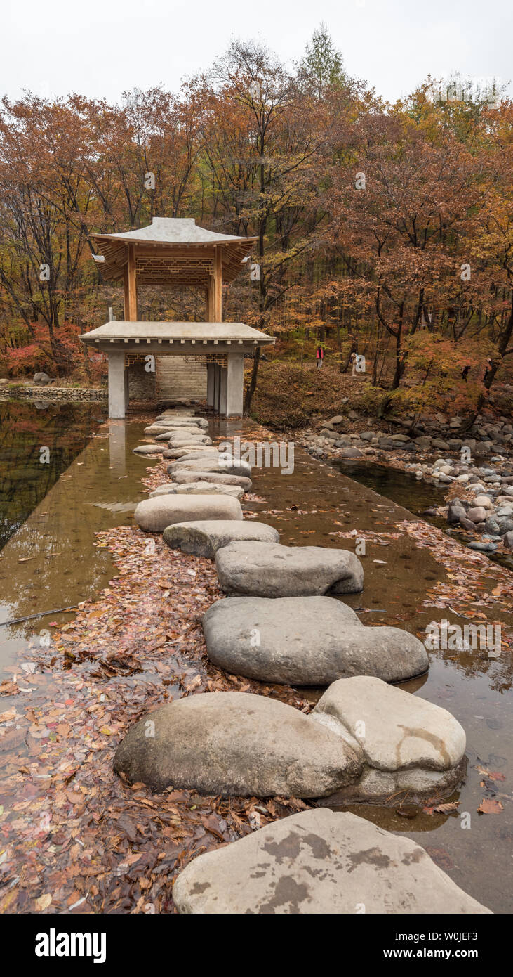 Cina Benxi autunno nuvoloso mondo pond maple forest Foto Stock