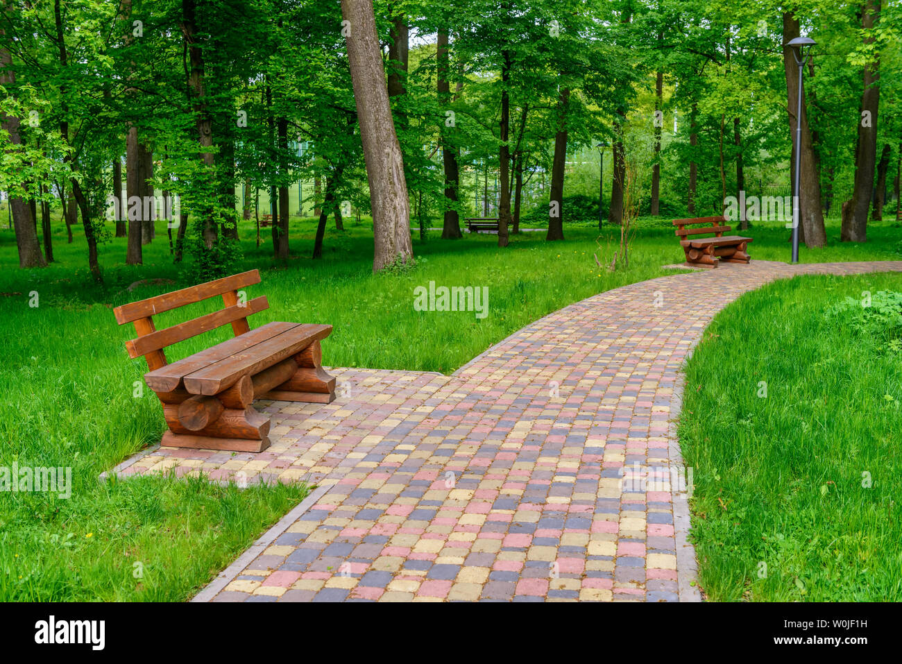 Soleggiato parco con panca e passerella. Rilassatevi sulla natura Foto Stock
