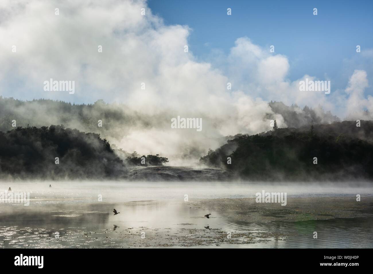 La nebbia e il vapore da hot springs al Lago Ohakuri, Orakei Korako Parco geotermico, area geotermica, Hidden Valley, Taupo zona vulcanica, l'isola nord, nuovo Foto Stock