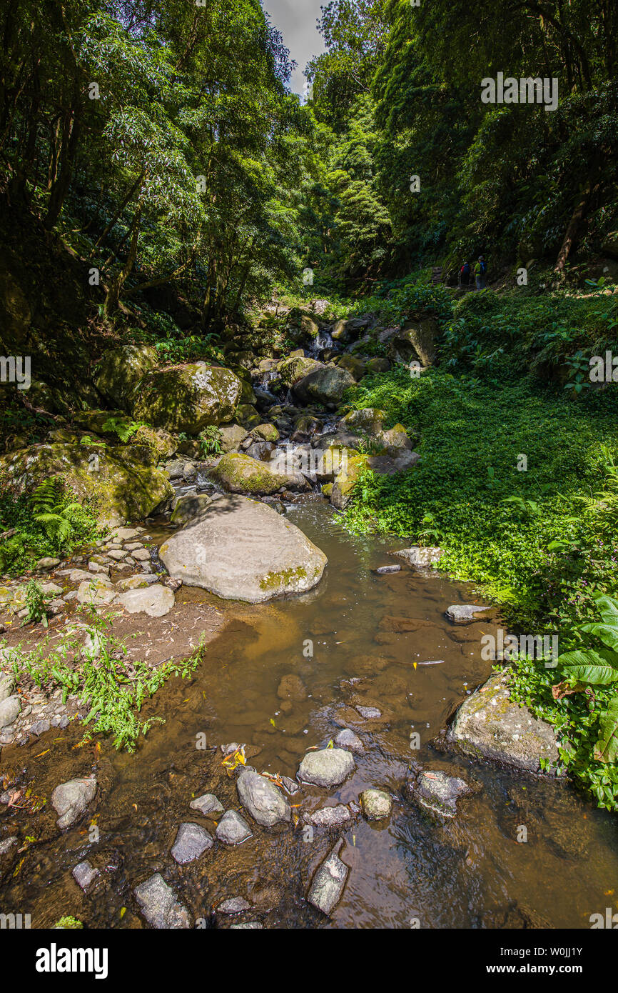 Natura Salto Fare prego sentiero a Faial da terra, Sao Miguel, l'arcipelago delle Azzorre, Portogallo Foto Stock