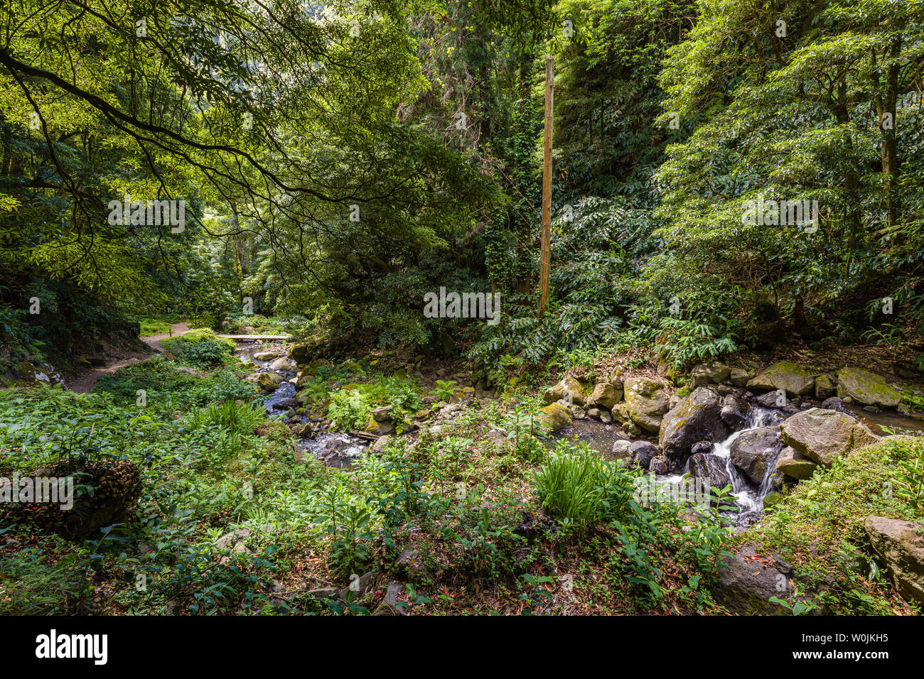 Natura Salto Fare prego sentiero a Faial da terra, Sao Miguel, l'arcipelago delle Azzorre, Portogallo Foto Stock