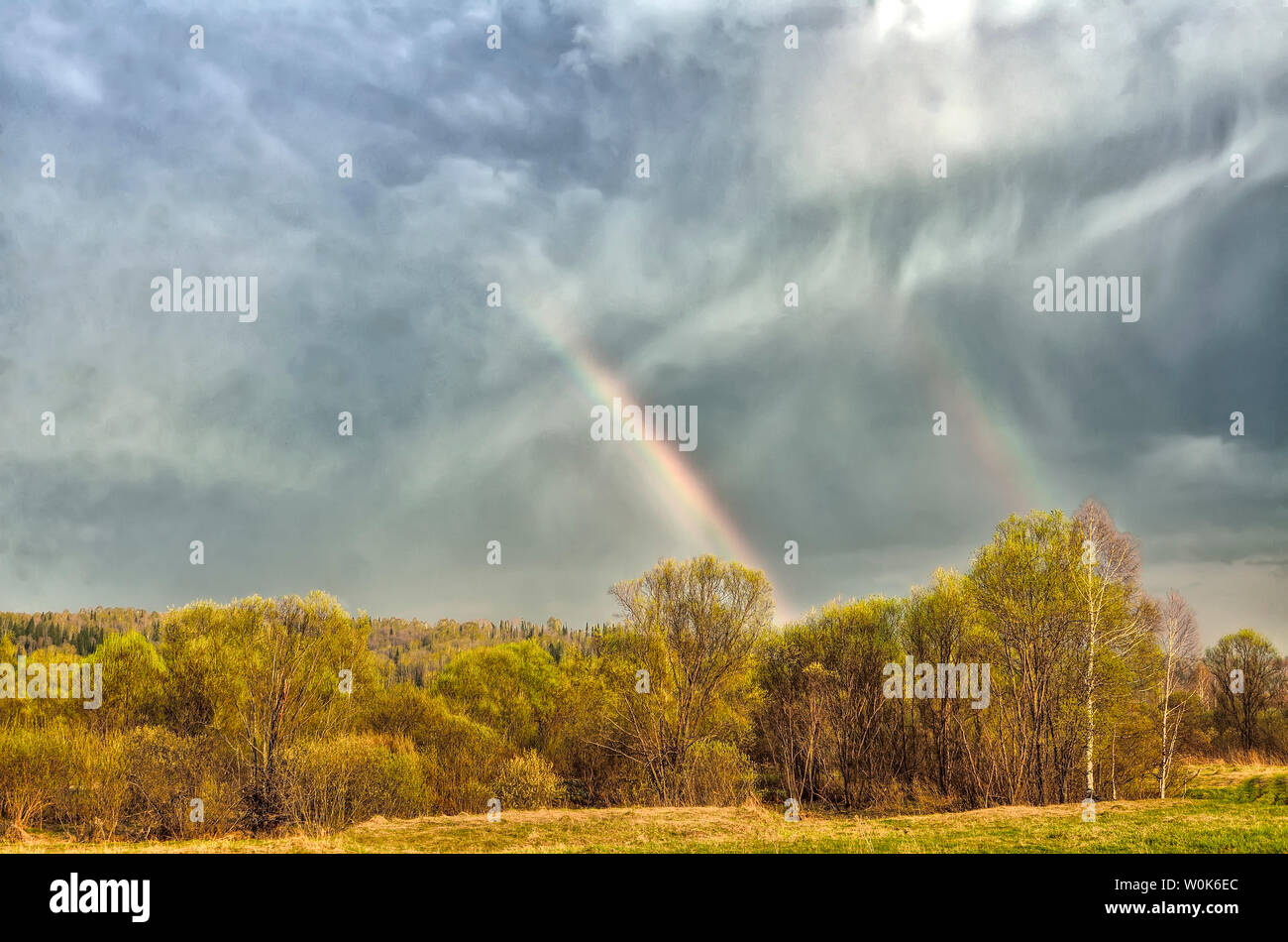 Colorato doppio arcobaleno sul cielo nuvoloso di foresta dopo la pioggia a molla - molla bellissimo paesaggio rurale. Fenomeno celeste - rifrazione alla luce del sole in Foto Stock