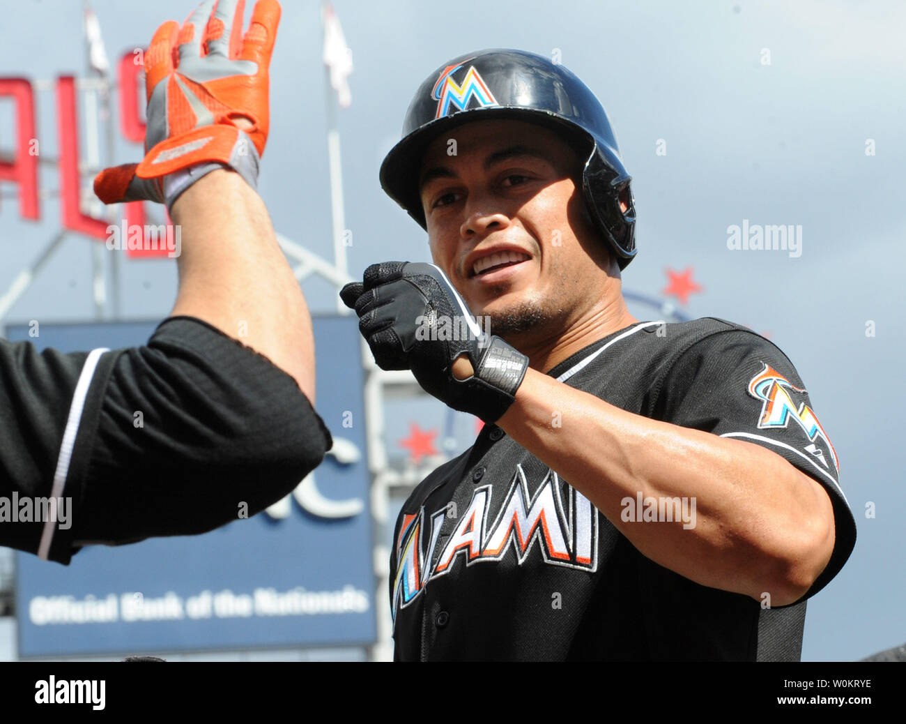 Miami Marlins Giancarlo Stanton è tutto sorrisi come egli si congratula con i compagni di squadra dopo aver colpito una due-run homer nel primo inning di gioco contro i cittadini di Washington a cittadini Park prima di Washington il 22 settembre 2013. Marlins ha vinto il primo gioco di una doppia testata 4-2, danneggiando i cittadini post-season chances. UPI/Pat Benic Foto Stock