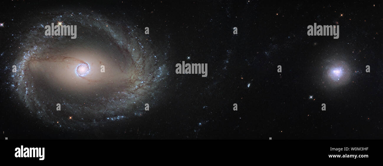 La danza gravitazionale tra due galassie nel nostro quartiere locale ha portato a sorprendenti funzionalità visive in entrambe come testimoniato in questo nuovo NASA/ESA Hubble Space Telescope immagine rilasciata il 27 luglio 2017. Il minuscolo NGC 1510 (a destra) e il suo colossale prossimo NGC 1512 (sinistra) sono all'inizio di una lunga operazione di fusione, un processo fondamentale nella galassia evoluzione. Nonostante le sue dimensioni ridotte, NGC 1510 ha avuto un effetto significativo su NGC 1512's struttura. Galassie sono disponibili in una vasta gamma di forme e dimensioni e gli astronomi usano questo fatto di classificarli in base al loro aspetto. NGC 1512, la grande galassia a t Foto Stock