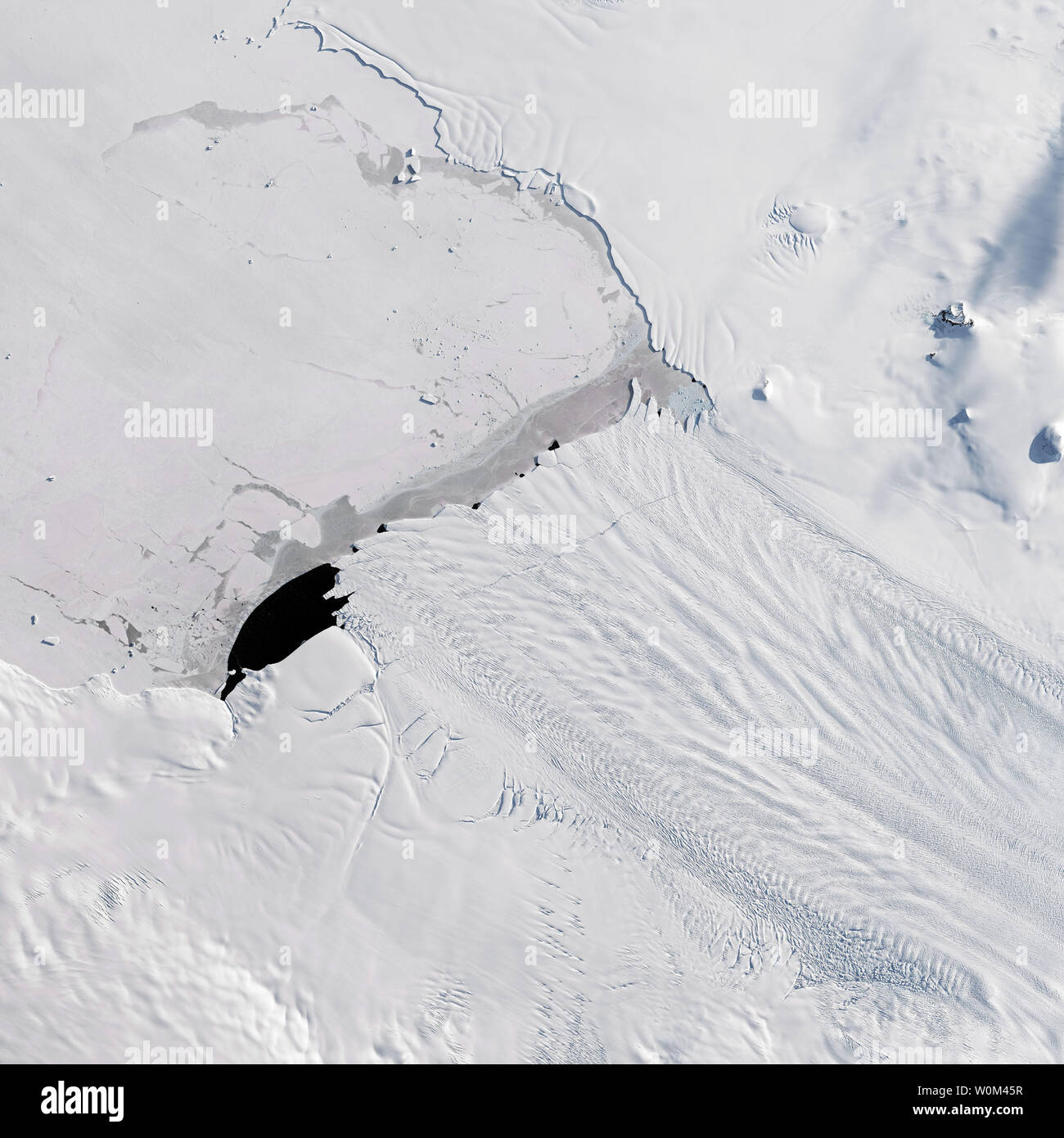 Un nuovo iceberg partorito da Pine Island Glacier - uno dei principali punti di vendita dove il ghiaccio dalla parte interna del West di ghiaccio in Antartide flussi foglio nell'oceano. La Terra operative imager (OLI) sul satellite Landsat 8 satellite catturato questo naturale-immagine a colori su Settembre 21, 2017, appena prima della pausa. Una frattura è visibile al centro del ghiacciaio flottante della mensola di ghiaccio. La pausa infine prodotto iceberg B-44, visibili nelle immagini radar acquisite 23 settembre con l'Agenzia Spaziale Europea Sentinel-1 satellite. Il nuovo Berg, a galla nel Amundsen Sea Embayment, ha un'area di circa 185 kilome quadrato Foto Stock