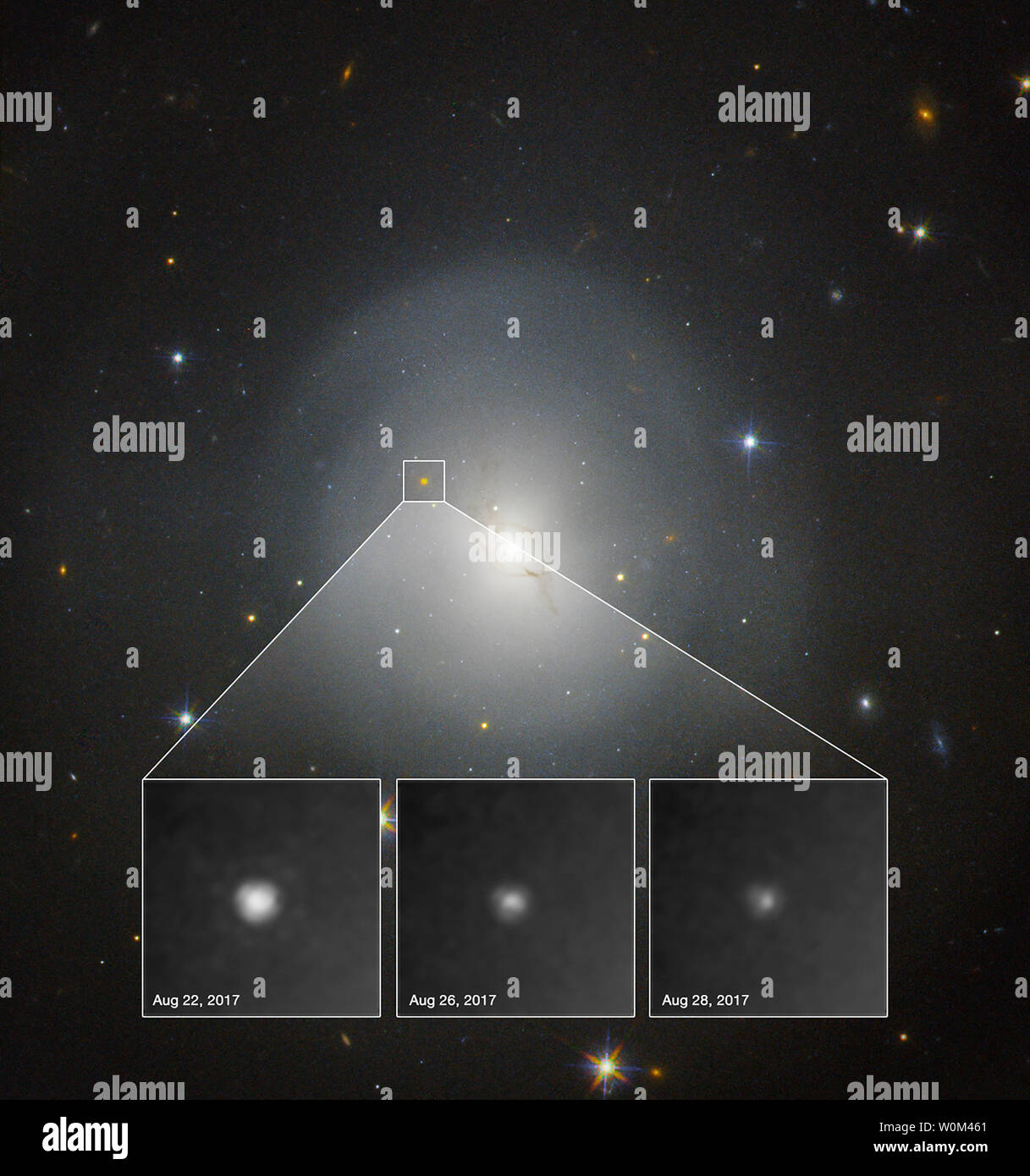 Il 17 agosto 2017, l'interferometro laser Gravitational-Wave Osservatorio (LIGO) e l interferometro Virgo sia rilevato onde gravitazionali dalla collisione tra due stelle di neutroni. Entro dodici ore di osservatori avevano individuato la fonte dell'evento all'interno della galassia lenticolare NGC 4993, mostrati in questa immagine si sono riuniti con la NASA/ESA Telescopio Spaziale Hubble. La associata svasatura stellare, un kilonova, è chiaramente visibile nelle osservazioni di Hubble. Questa è la prima volta che la controparte ottica di un onda gravitazionale evento è stato osservato. Hubble ha osservato il kilonova fading gradualmente uovere Foto Stock