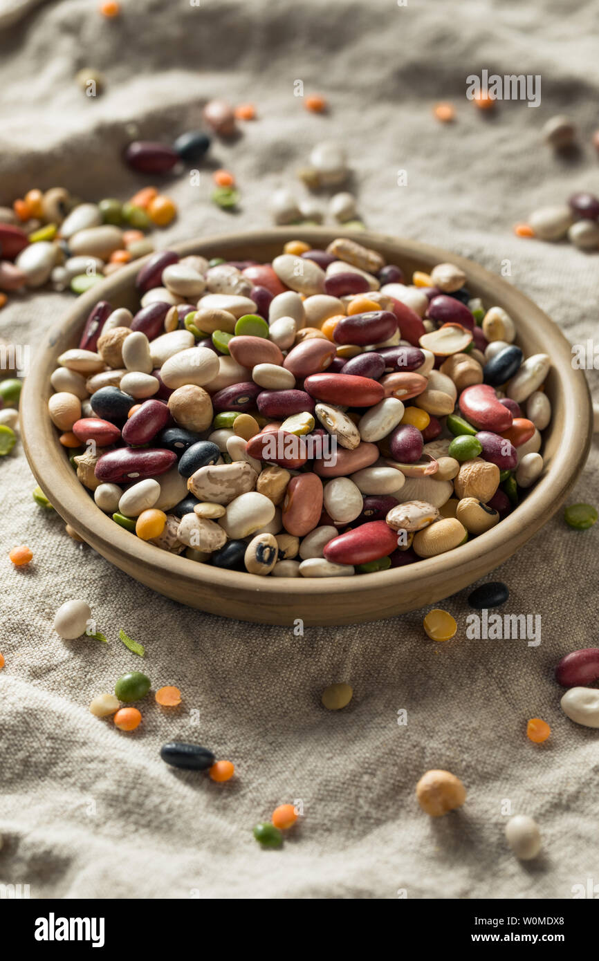 Organico secco Bean assortiti miscela in una ciotola Foto Stock