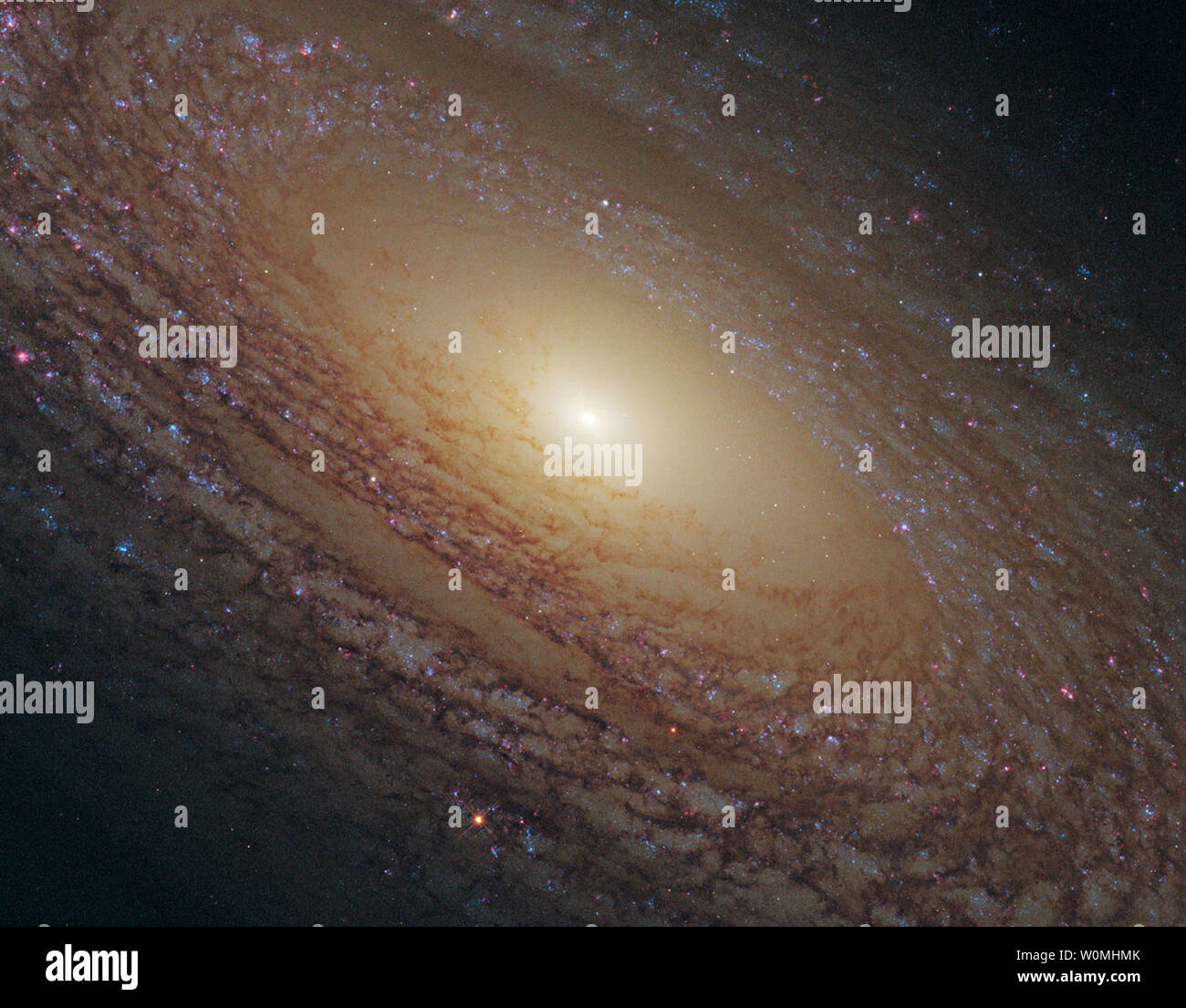 La galassia NGC 2841, qui mostrato in questo NASA/ESA Hubble Space Telescope immagine rilasciata il 17 febbraio 2011, prese con l'osservatorio spaziale il nuovissimo strumento il vasto campo telecamera 3, ha attualmente una percentuale relativamente bassa di formazione stellare rispetto al tasso di altre spirali. Si tratta di una delle numerose galassie vicine che sono state scelte appositamente per un nuovo studio in cui un pick 'n' mix di diversi vivaio stellare gli ambienti e i tassi di natalità sono osservati. UPI/NASA. Foto Stock