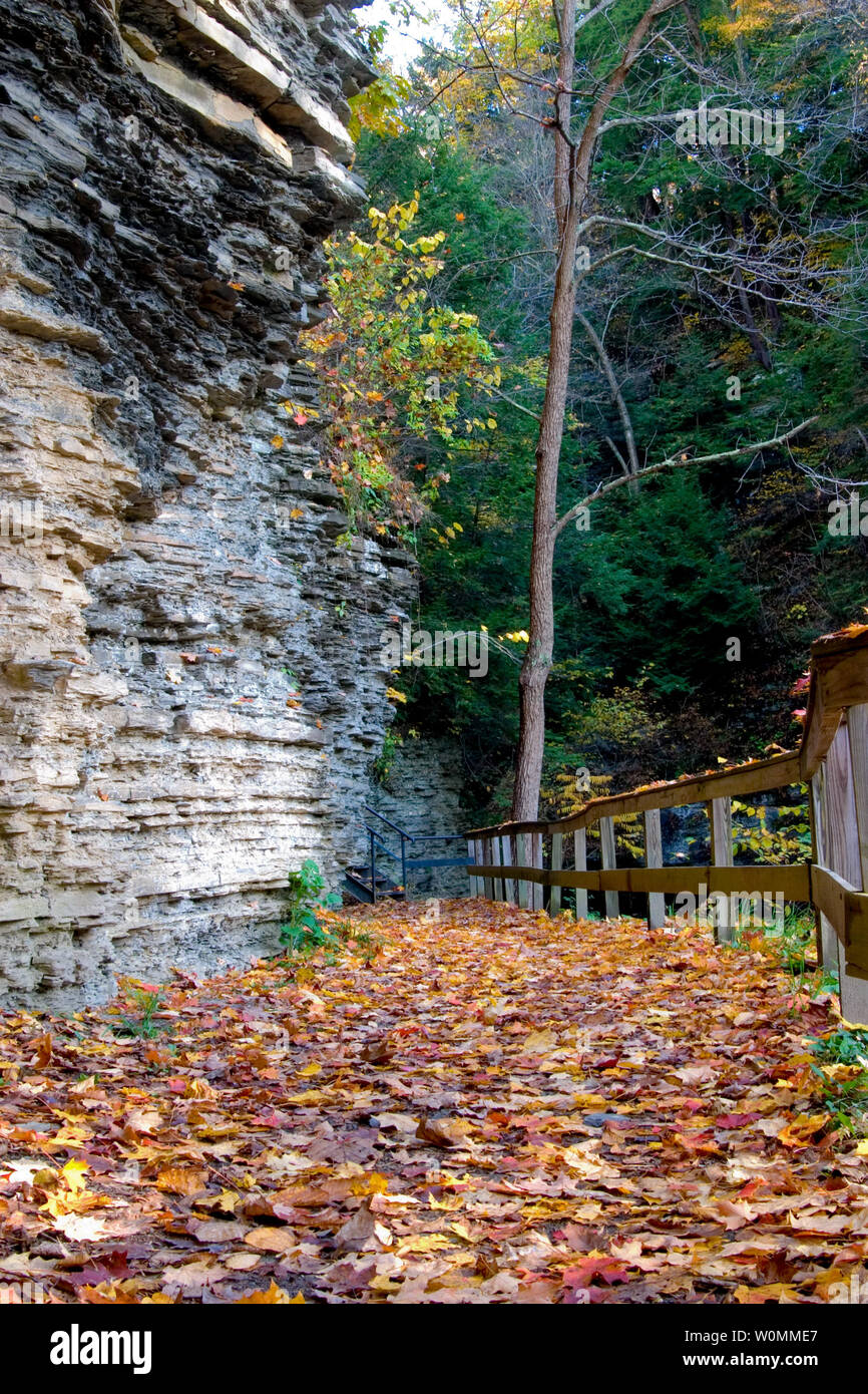 Il percorso di Angel Falls in Havana Glen Park, Montour Falls, NY Foto Stock