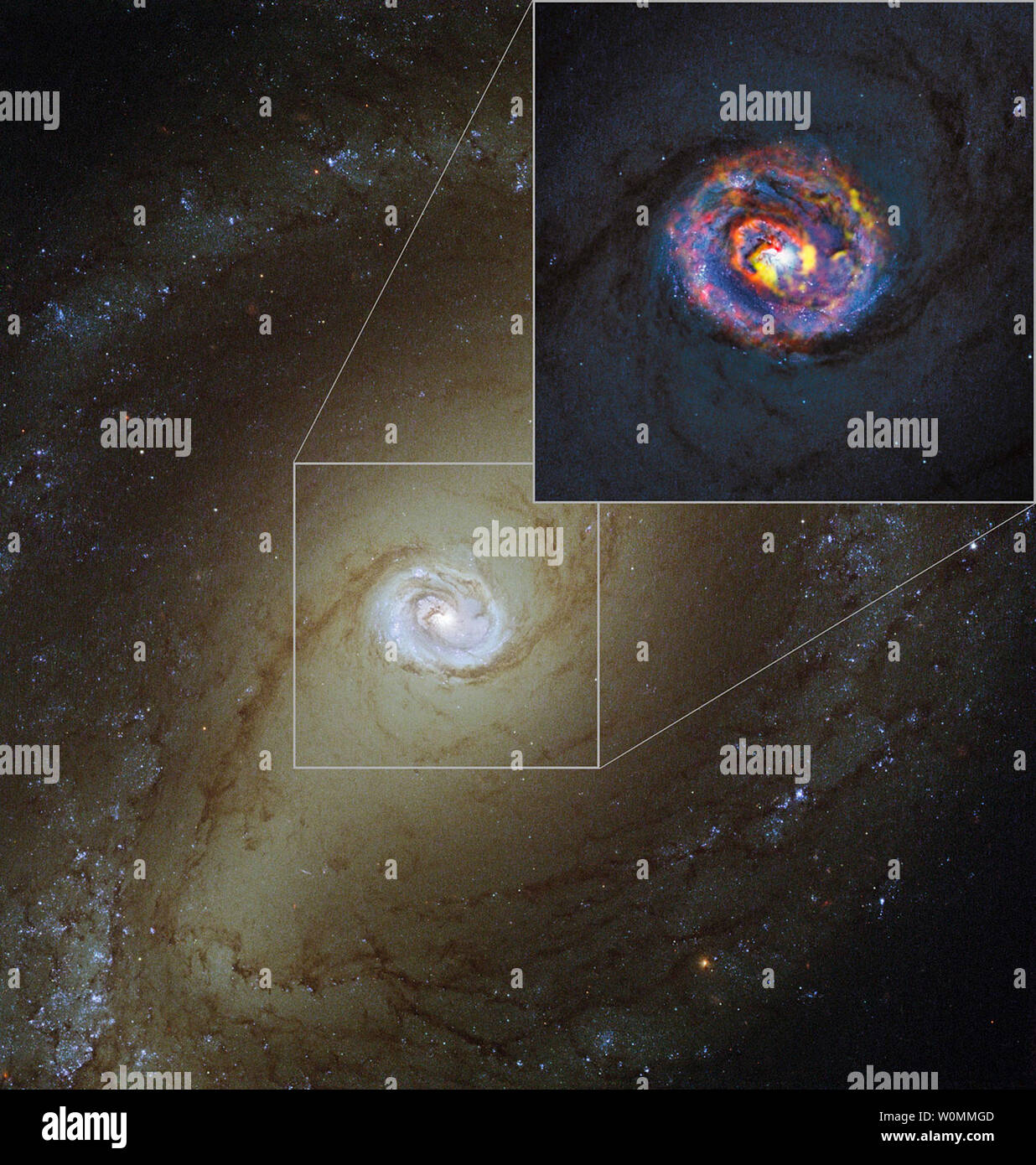 Foto rilasciata il 16 ottobre 2013 dall'Osservatorio europeo australe (ESO) mostrano come un buco nero consuma enormi quantità di materia in studi pubblicati sulla galassia PKS e 1830-211 NGC 1433. L'immagine principale, che mostra la vicina active galassia NGC 1433, proviene dalla NASA/ESA Telescopio Spaziale Hubble. Le strutture colorate vicino al centro mostrato nell'inserto sono da recenti osservazioni di ALMA che hanno rivelato una forma a spirale, come pure un inaspettato deflusso, per la prima volta.Alma è in Cile. Vedere anche cera201310101 e 103). UPI Foto Stock