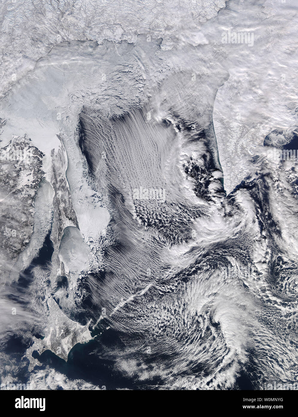 La risoluzione moderata Imaging Spectroradiometer (dello spettroradiometro MODIS) strumento su NASA Aqua satellite catturato questa immagine del cloud di strade e di mare di ghiaccio nel Mare di Okhotsk in data 8 febbraio 2016. Il cloud le strade sono lunghe fasce parallele di cumulus nuvole che si formano quando aria fredda soffia su acque più calde e un aria più calda (strato di inversione della temperatura) si appoggia sopra la parte superiore di entrambi. UPI Foto Stock