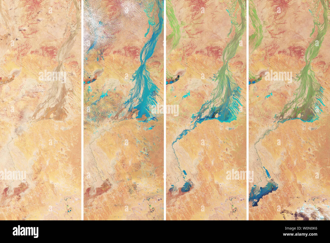 Il lago Eyre Basin all'interno dell'Australia è tra i luoghi più secchi del continente. Con meno di 5 pollici di pioggia caduta in questa zona ogni anno i torrenti e ruscelli che scarico nel lago EyreÑthe punto più basso in AustraliaÑare osso di solito asciutto, sterile e il marrone. Occasionalmente, i canali di fare riempire dopo downpoursÑand pesante creare un tappeto di colore verde. La Terra operative imager (OLI) sul satellite Landsat 8 osservata questa trasformazione in una serie di immagini falso colore acquisita tra il 24 febbraio e aprile 25, 2018. Con questa combinazione di banda, acqua di inondazione appare in azzurro. La vegetazione è li Foto Stock
