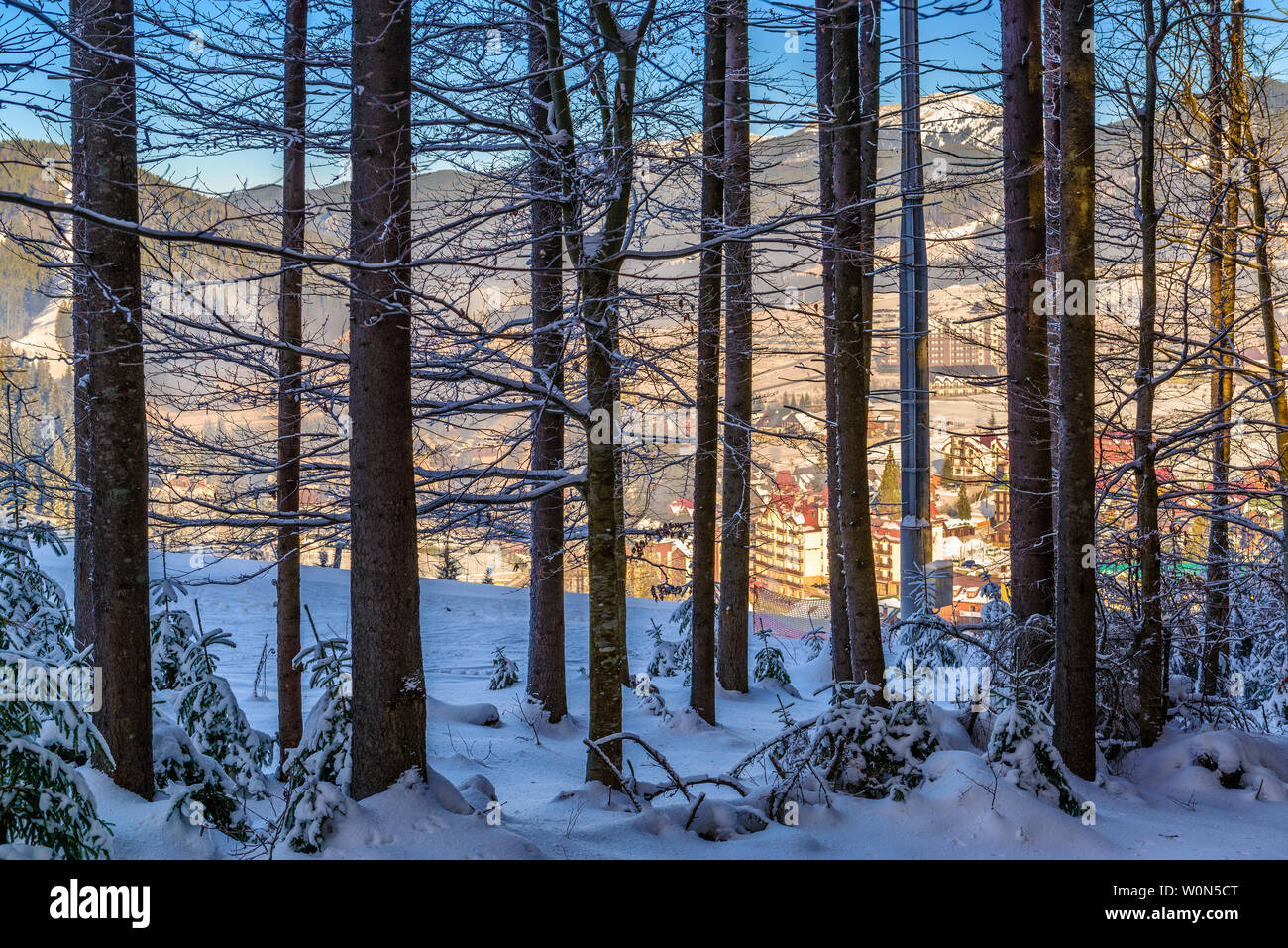 Foresta di neve con le montagne e sunny alpine ski resort valle sullo sfondo Foto Stock