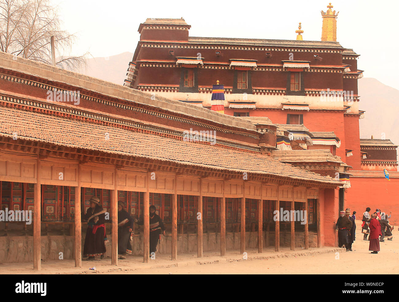 Nomadi tibetani e pellegrini girare le ruote di preghiera e di pregare presso il monastero di Labrang, il più grande monastero tibetano al di fuori di Lhasa, prima per il Tibetano Monlam Festival a Xiahe, provincia di Gansu sull'altopiano tibetano, 2 febbraio 2012. Decine di migliaia di tibetani stanno celebrando il periodo del nuovo anno tibetano rendendo il loro modo di questa città e il suo monastero Labrang, la cui separazione dal Tibetano Regione Autonoma fornisce una misura di protezione dal cinese Han tenta di regolare la loro cultura. UPI/Stephen rasoio Foto Stock