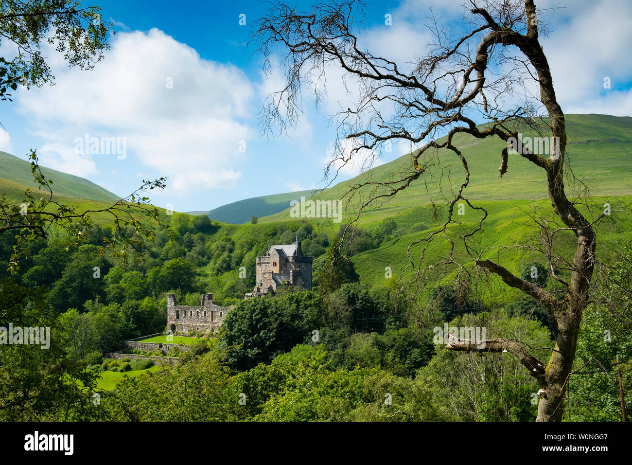 Vista sul Castello di Campbell in Dollar, Clackmannanshire, Scotland, Regno Unito Foto Stock